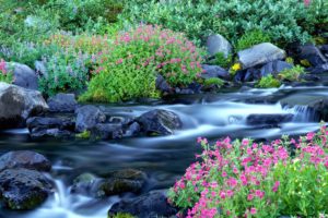 landscapes, Nature, Paradise, Waterfalls, National, Park, Washington, Mount, Rainier