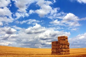 clouds, Landscapes, Nature, Fields, Hay, Straws, Blue, Skies