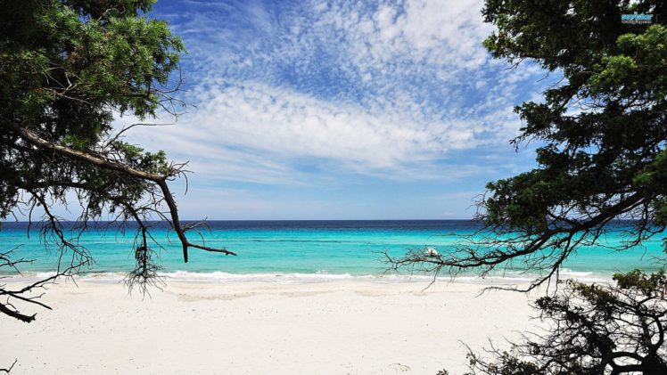 nature, Sand, Trees, Sea, Beaches HD Wallpaper Desktop Background