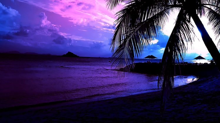 landscapes, Palms, Beaches HD Wallpaper Desktop Background