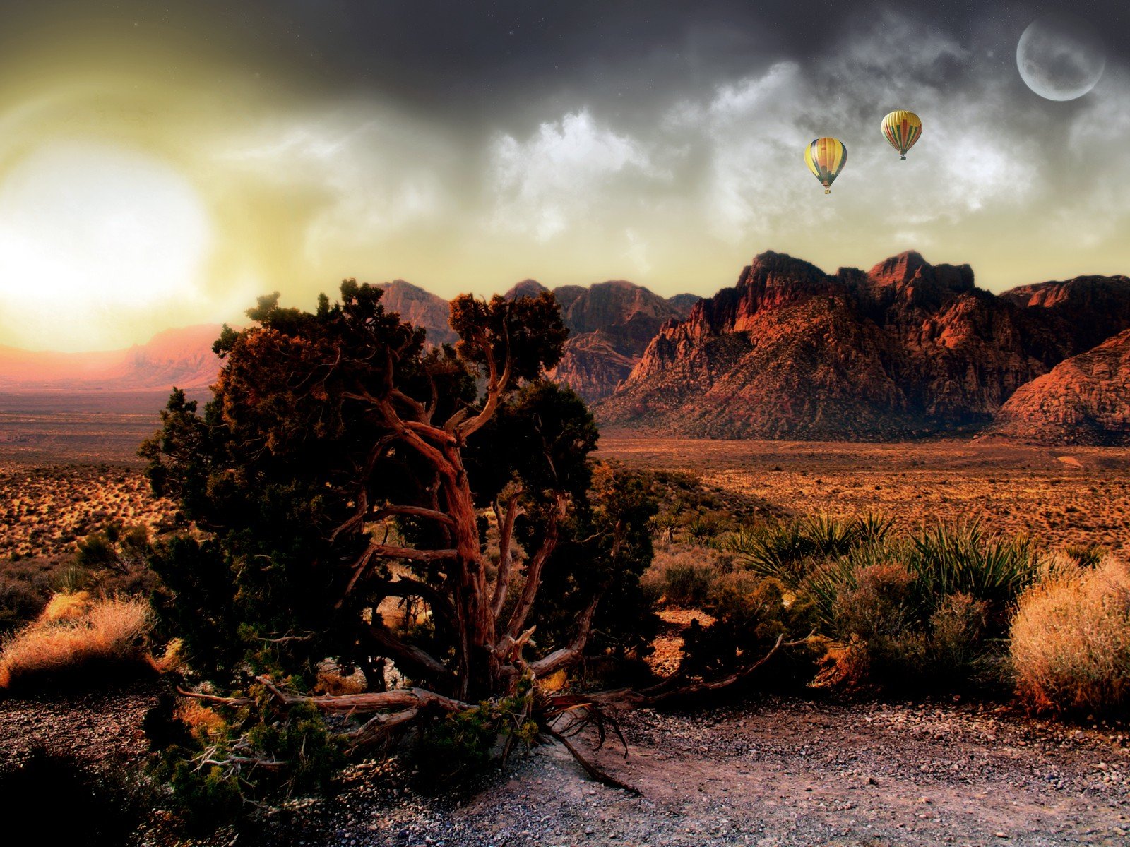 landscapes, Sun, Deserts, Hot, Air, Balloons Wallpaper