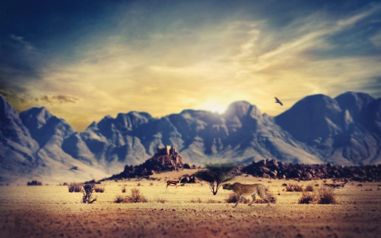 deserts, Wastelands HD Wallpaper Desktop Background