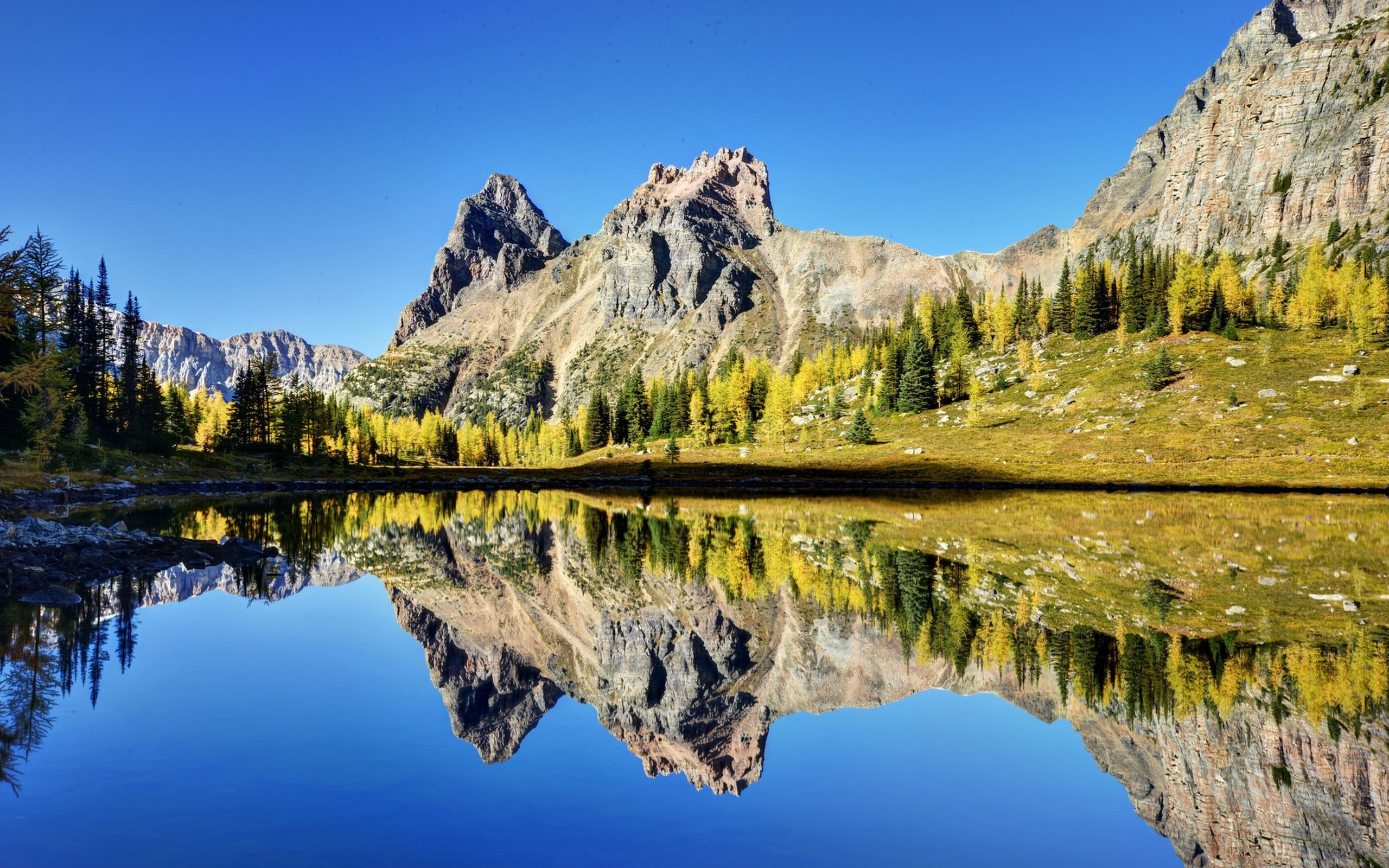 nature, Lake, Landscape, Reflection, Fog, Mountain, Ice, Tree, Ultrahd, 4k, Wallpaper Wallpaper