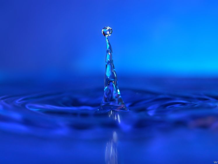 water, Water, Drops, Splashes HD Wallpaper Desktop Background