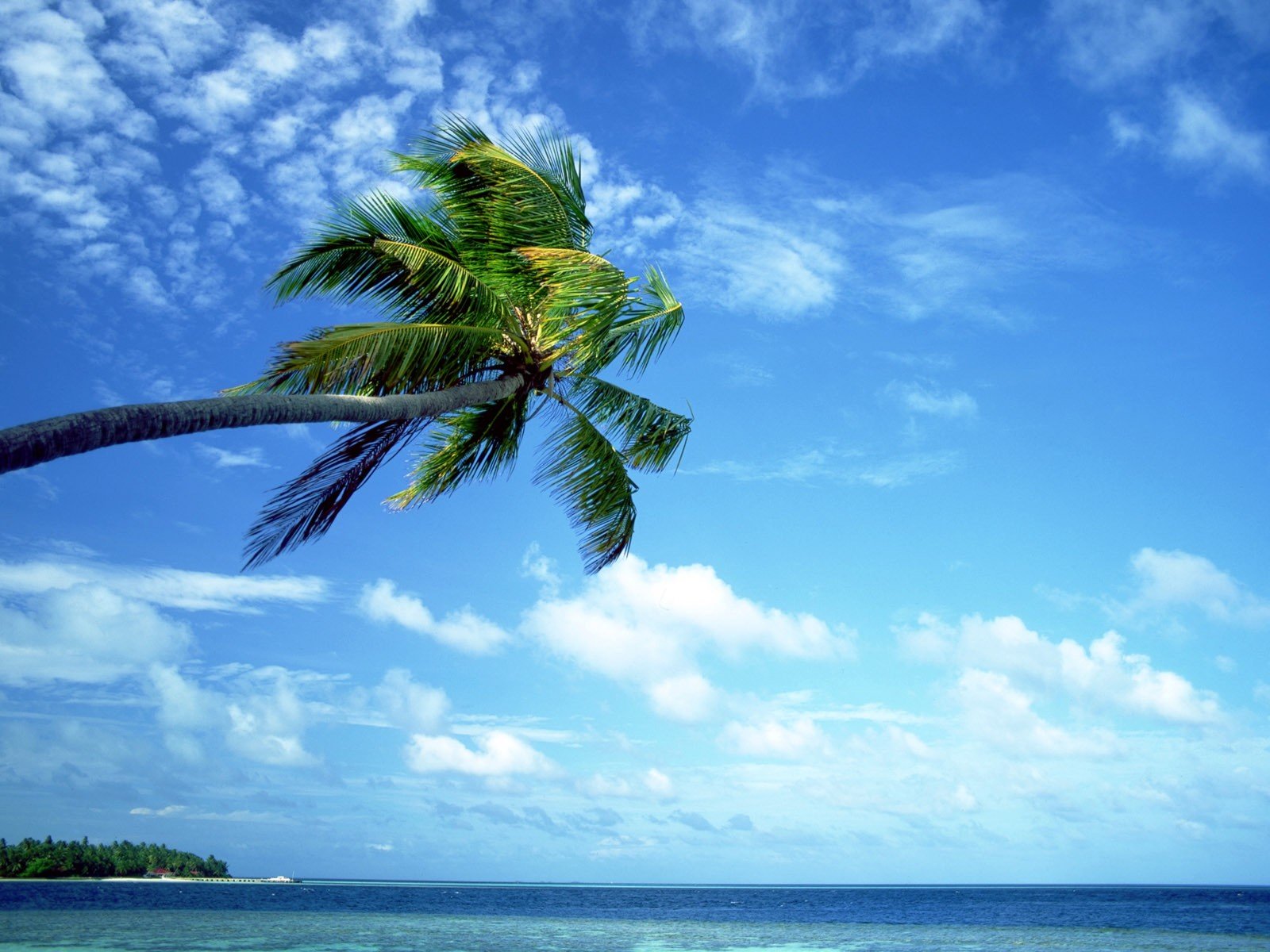 beaches Wallpaper