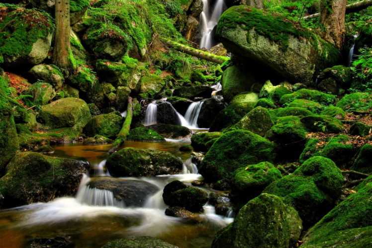 nature, Landscapes, Waterfalls, Trees, Forest, Moss, Rocks, Stream, Rivers, Green HD Wallpaper Desktop Background