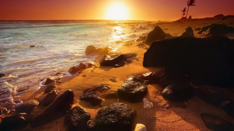 sunset, Beaches HD Wallpaper Desktop Background