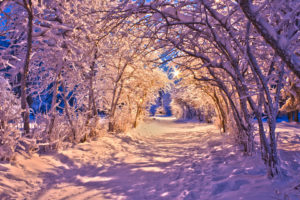 nature, Landscapes, Winter, Snow, Christmas, Sidewalk, Roads, Lights, White, Trees
