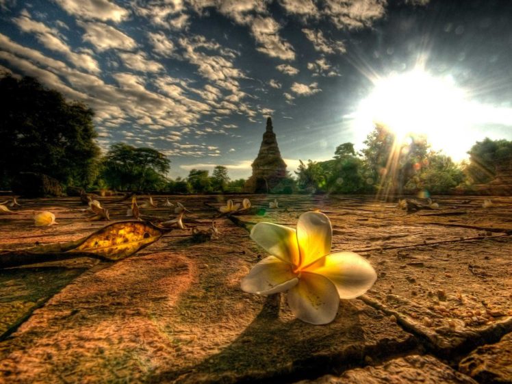 light, Thailand, Mai, Afternoon HD Wallpaper Desktop Background