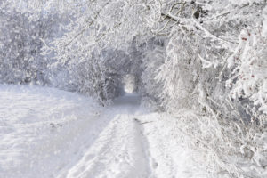 nature, Landscapes, Winter, Snow, Snowing, Snowflake, Snowfall, Roads, Trees, Forest, Storm, Blizzard, White, Seasons, Tunnel