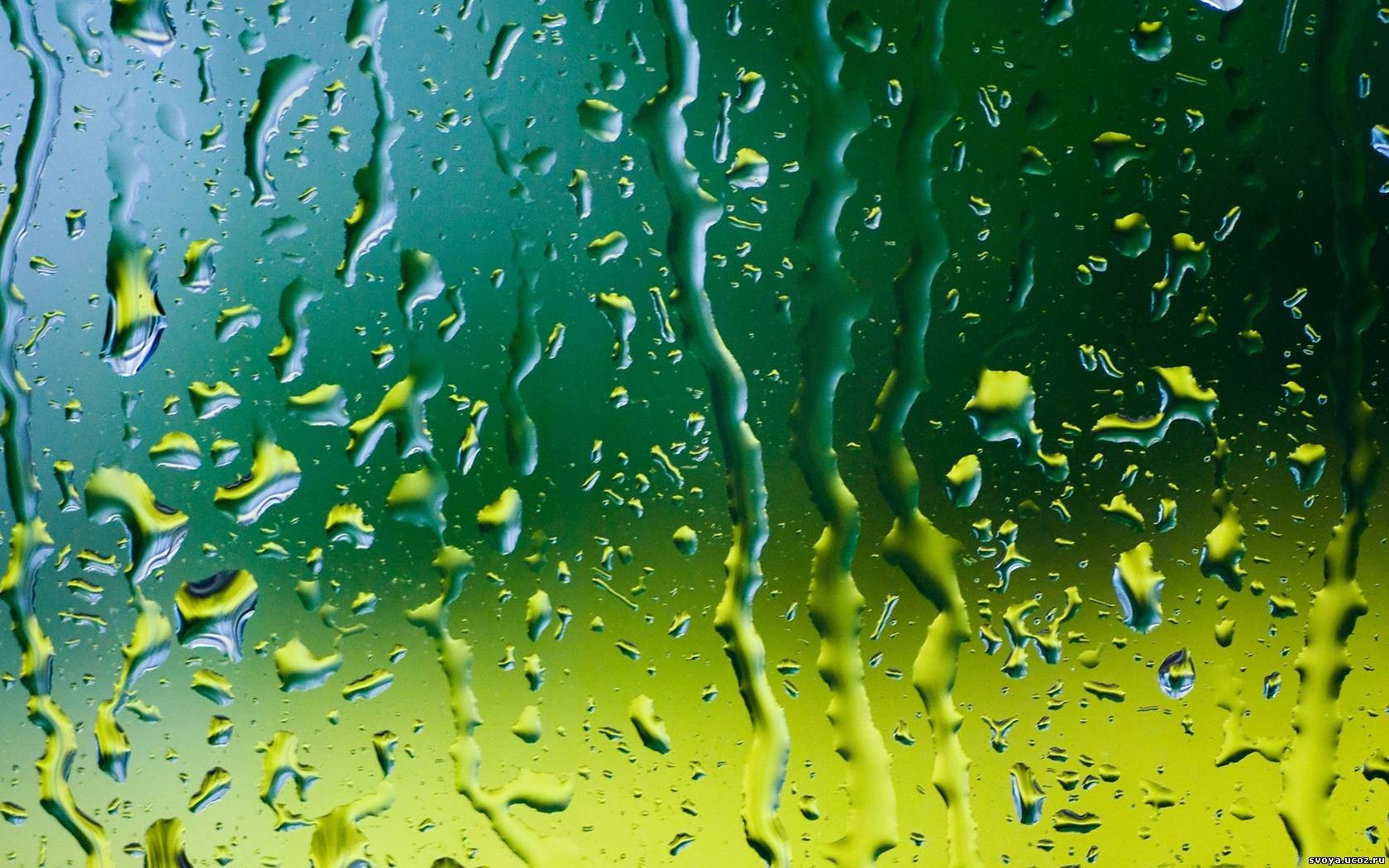 rain, Glass, Water, Drops Wallpaper