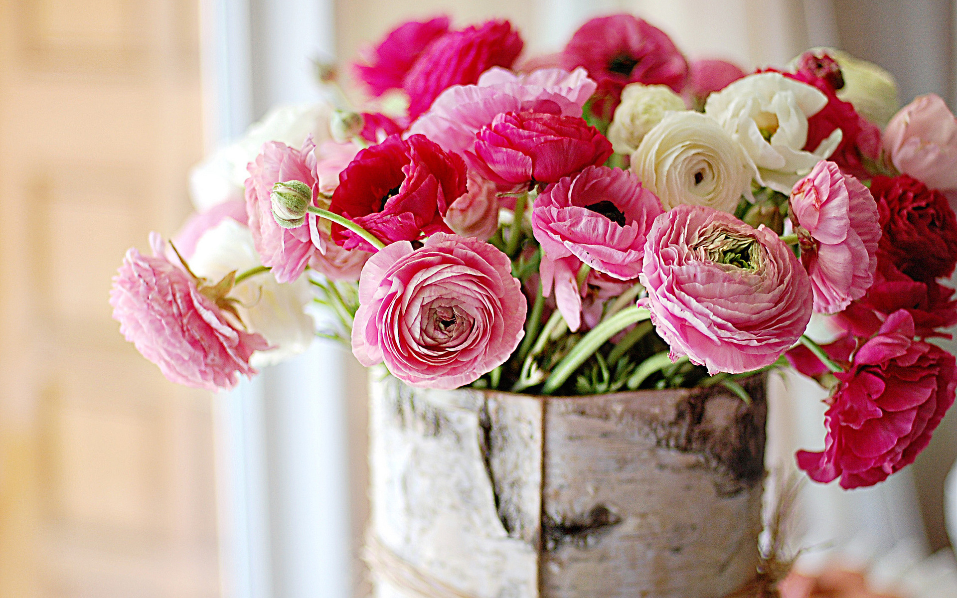 still, Life, Bouquets, Nature, Flowers, Color, Pink, Vase, Bowl, Macro, Soft, Bokeh, Window Wallpaper