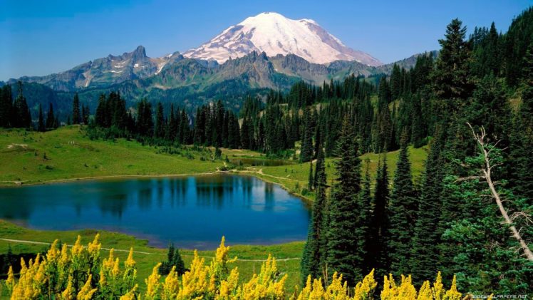 mountains, Landscapes, Nature, Forests, National, Park, Mount, Rainier, Washington, State HD Wallpaper Desktop Background