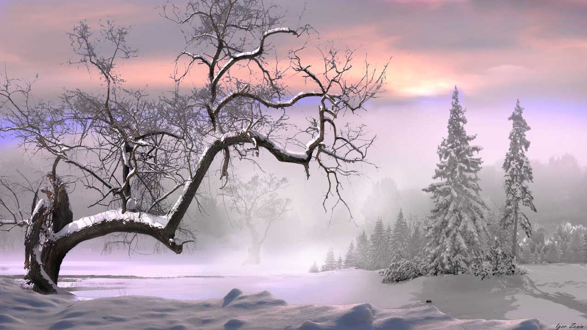 nature, Landscapes, Trees, Forest, Winter, Snow, Seasons, Fog, Mist, Haze, Cold, Freezing, White, Bright, Sunlight, Sun, Sunrise, Sunset, Sky, Clouds, Colors Wallpaper