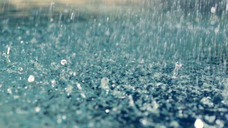 rain, Water, Drops HD Wallpaper Desktop Background