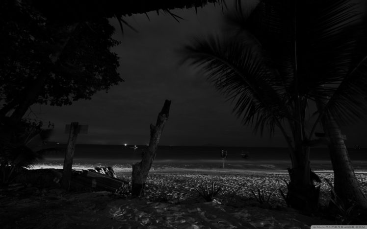 night, Beaches HD Wallpaper Desktop Background