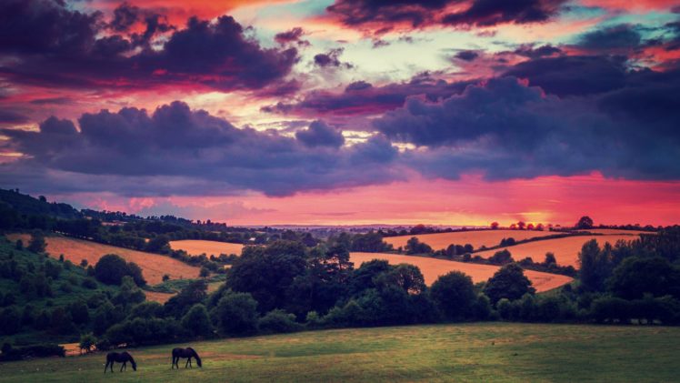sunset, Clouds, Landscapes, Nature, Trees, Animals, Fields, Hills, Ireland, Horses, Flora, Plains, Irish, Bushes, Evening HD Wallpaper Desktop Background