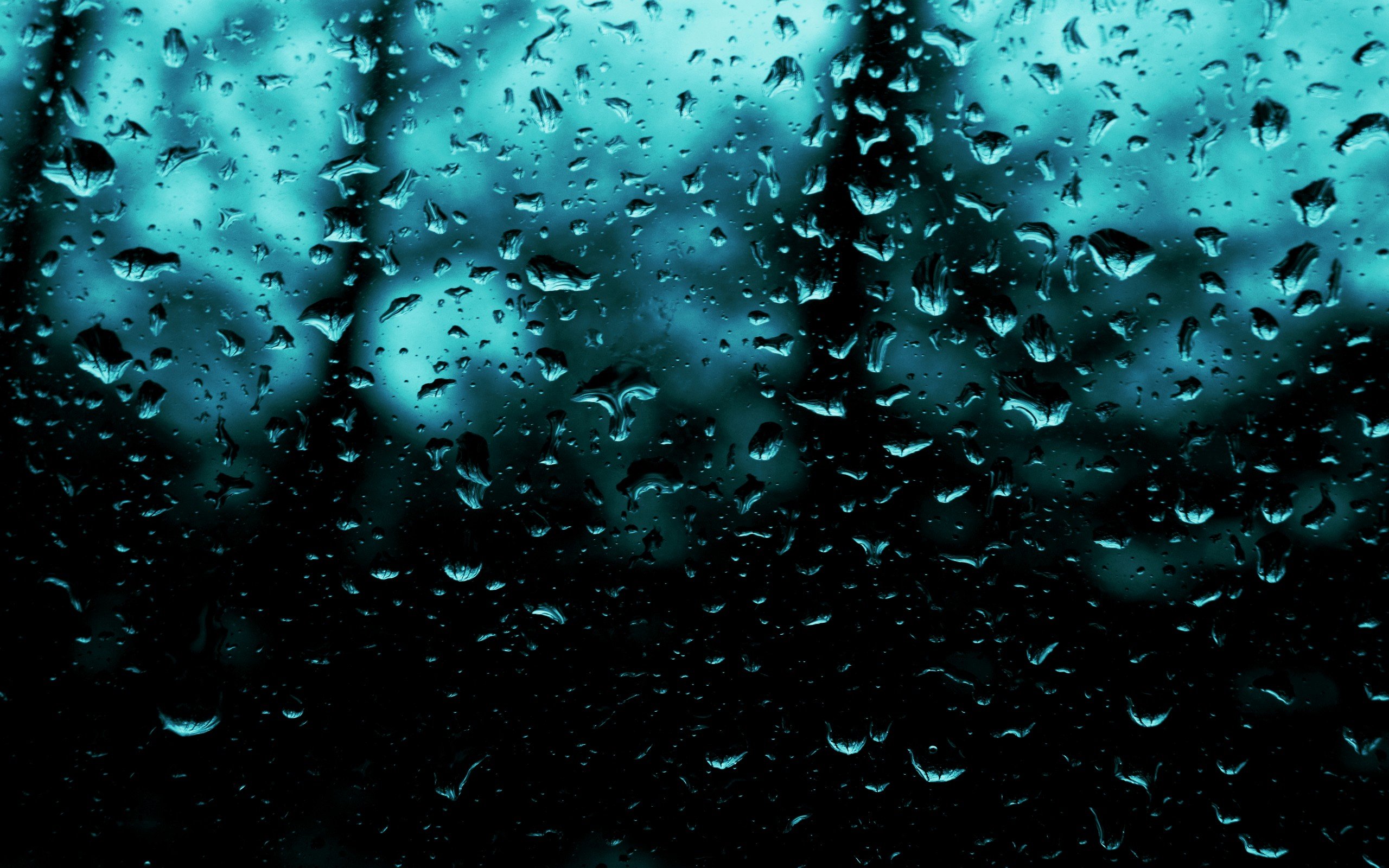 water, Rain, Drops Wallpaper
