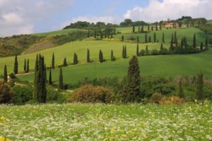 landscapes, Hills, Italy, Siena, Toscana, Tuscany, Monticchiello, Pienza