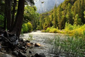 nature, Landscapes, Rivers, Streams, Shore, Bank, Rocks, Reflection, Trees, Forests, Green, Mountains, Valley, Scenic