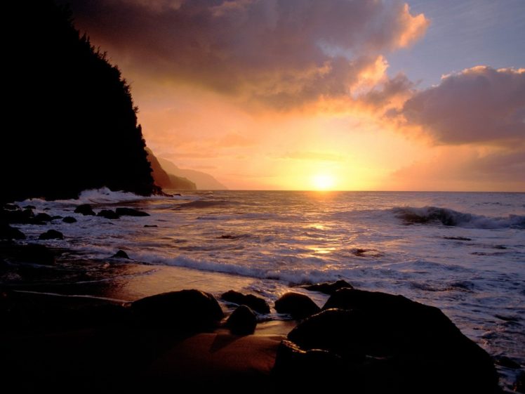 dawn, Forests, Sea, Beaches HD Wallpaper Desktop Background
