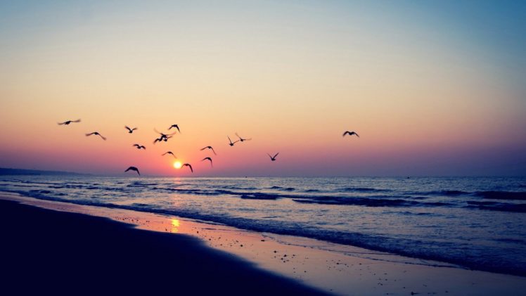 sunset, Ocean, Landscapes, Nature, Sun, England, Birds, Animals, Skyscapes, Land, Sea, Beaches HD Wallpaper Desktop Background