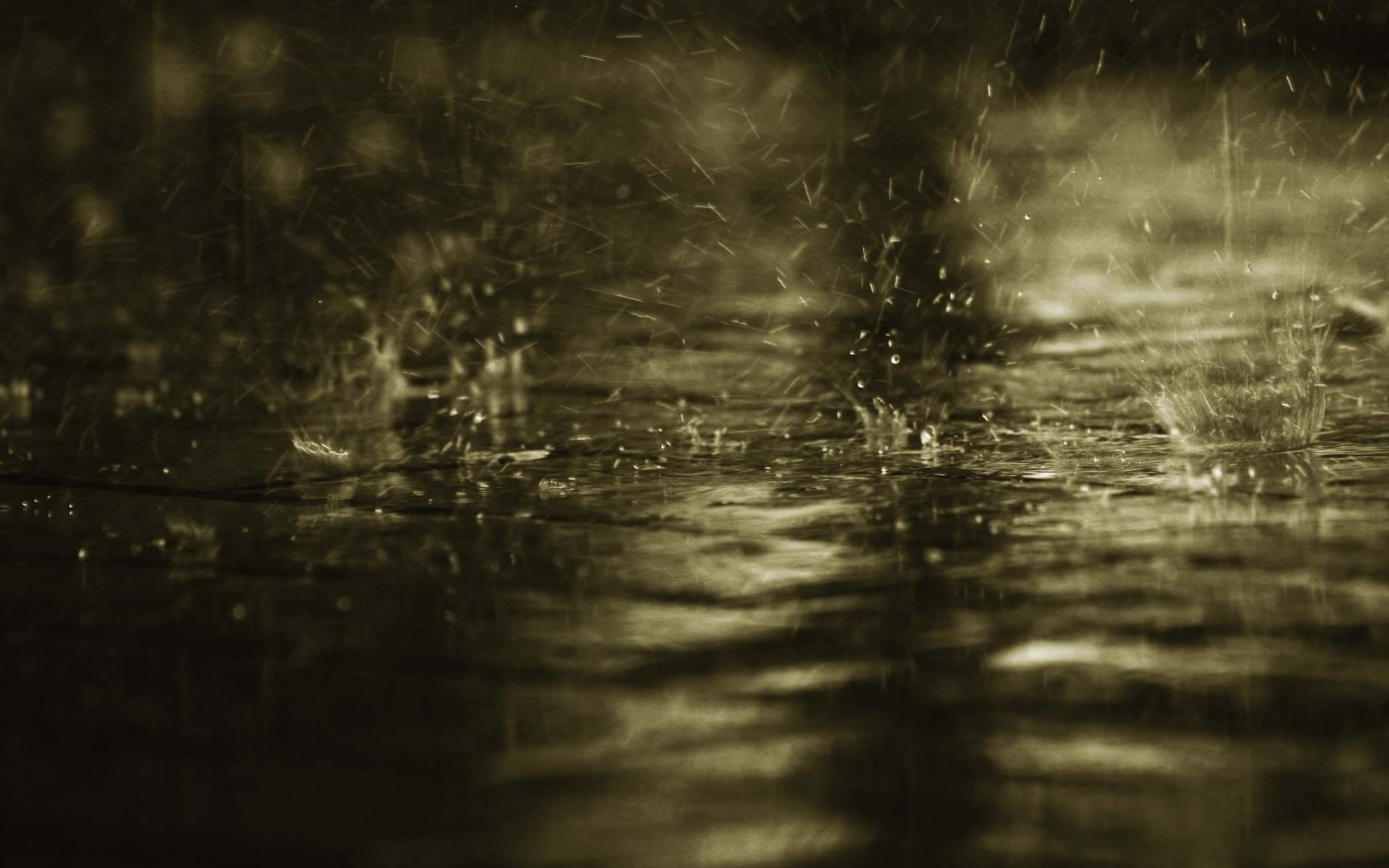 rain Wallpaper