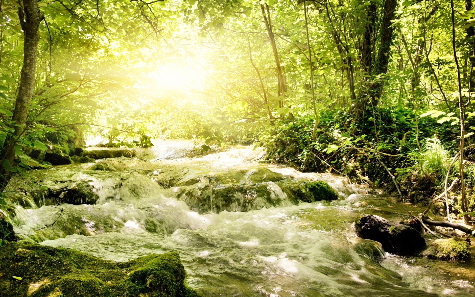 nature, Landscapes, Trees, Forests, Rivers, Streams, Water, Rapids, Drops, Waves, Rocks, Bank, Shore, Spring, Summer, Sunlight, Sun, Beam, Bright, Green Wallpaper