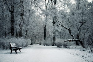 nature, Landscapes, Park, Garden, Trees, Forests, Winter, Snow, Seasons, Bench, Cold