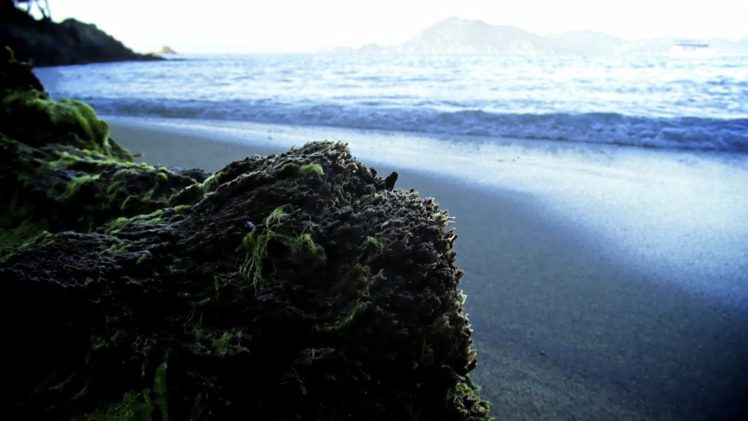 ocean, Moss, Sea, Beaches HD Wallpaper Desktop Background