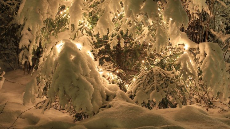 nature, Trees, Winter, Snow, Seasons, Lights, Christmas, Cold HD Wallpaper Desktop Background