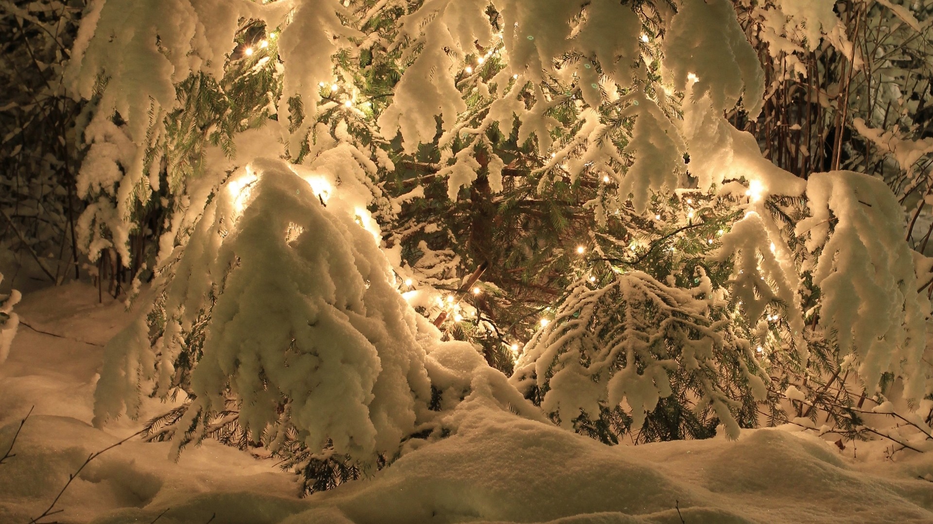nature, Trees, Winter, Snow, Seasons, Lights, Christmas, Cold Wallpaper