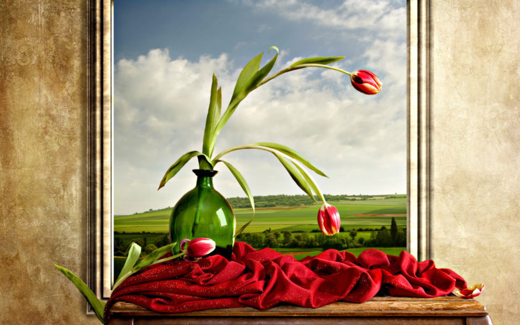 nature, Flowers, Petals, Vase, Ledge, Shelf, Window, Landscapes, Nature, Fields, Grass, Sky, Clouds, Hills, Manipulation, Cg, Digital, Art, Artistic, Still, Life, Color, Red HD Wallpaper Desktop Background