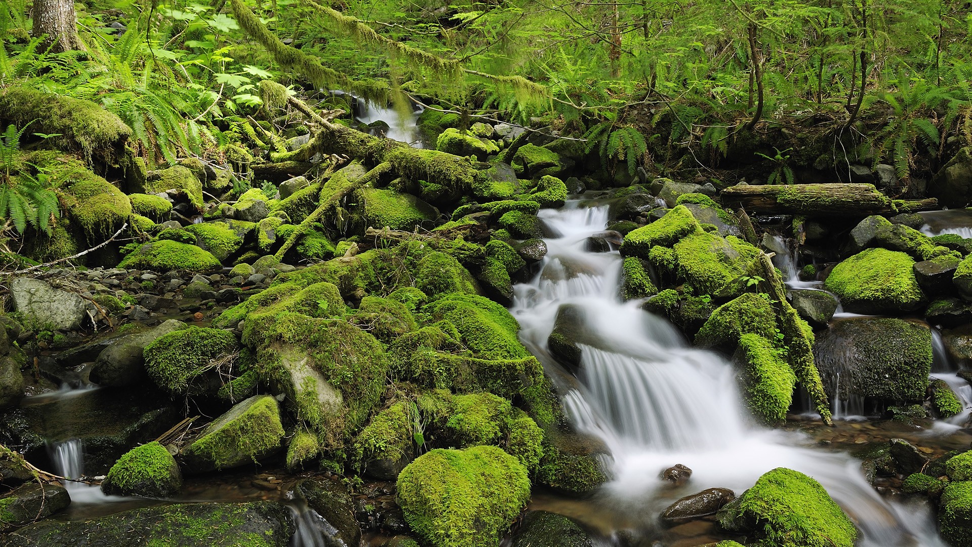 nature, Landscapes, Waterfall, Rocks, Moss, Rivers, Stream, Trees, Forest, Green, Leaves, Spring Wallpaper