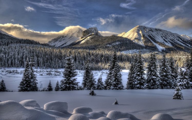 nature, Landscapes, Mountains, Trees, Forest, Wood, Winter, Snow, Seasons, Sky, Clouds, Fog, Sun, Sunlight HD Wallpaper Desktop Background