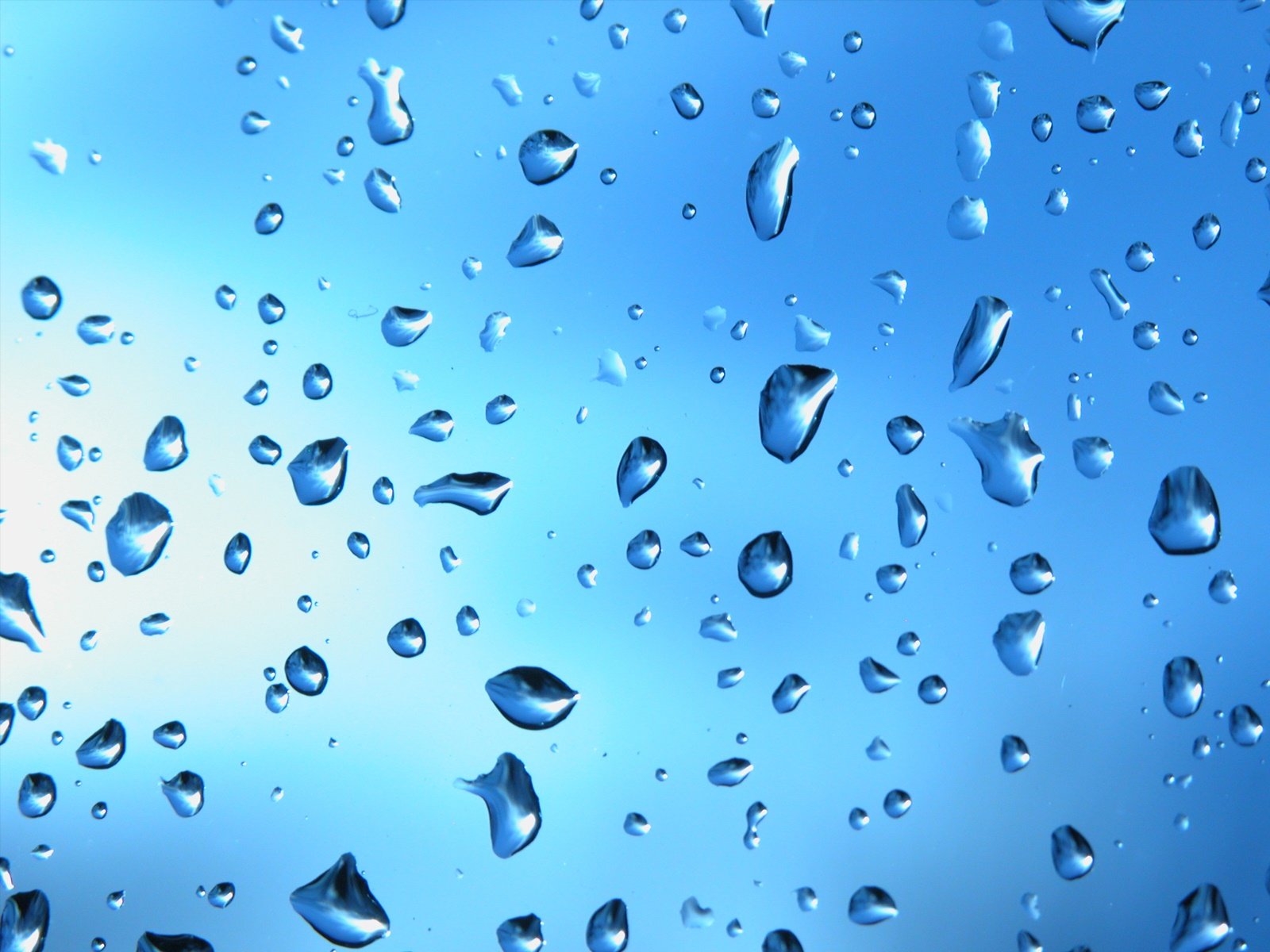 condensation, Rain, On, Glass Wallpaper