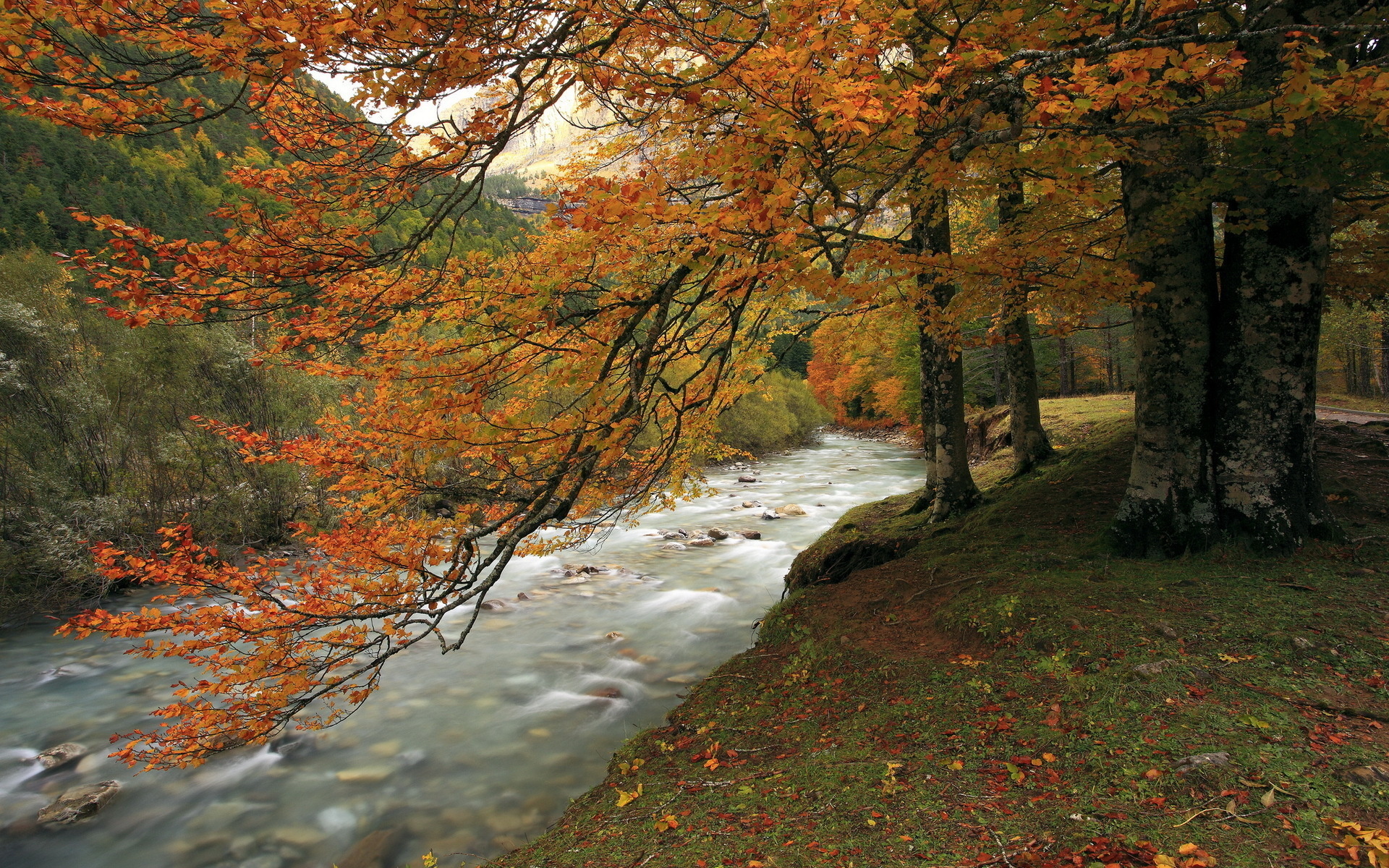 stream, Landscapes, Autumn, Fall, Trees, Forest, Hills, Mountains, Leaves Wallpaper