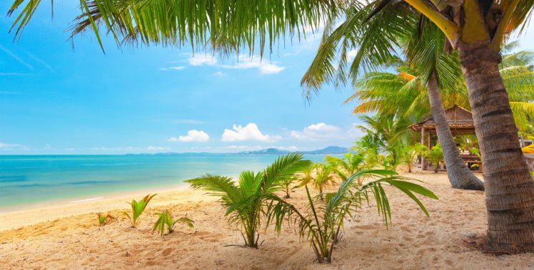 sand, Sea, Sky, Palm, Trees, Nature, Tropical, Landscape, Beautiful HD Wallpaper Desktop Background