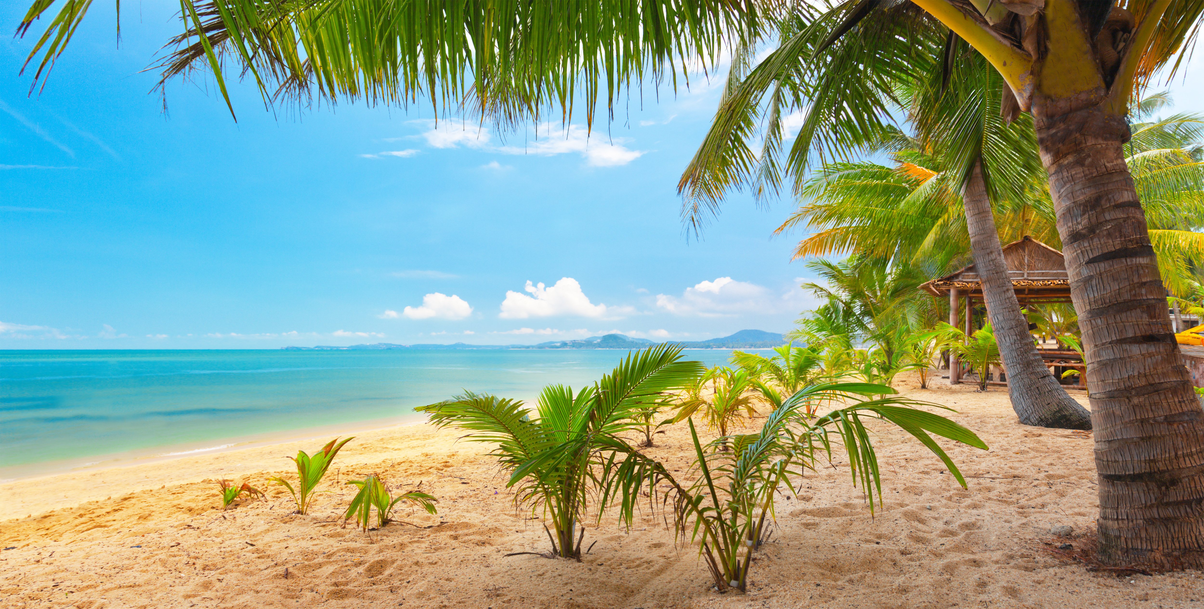 sand, Sea, Sky, Palm, Trees, Nature, Tropical, Landscape, Beautiful Wallpaper