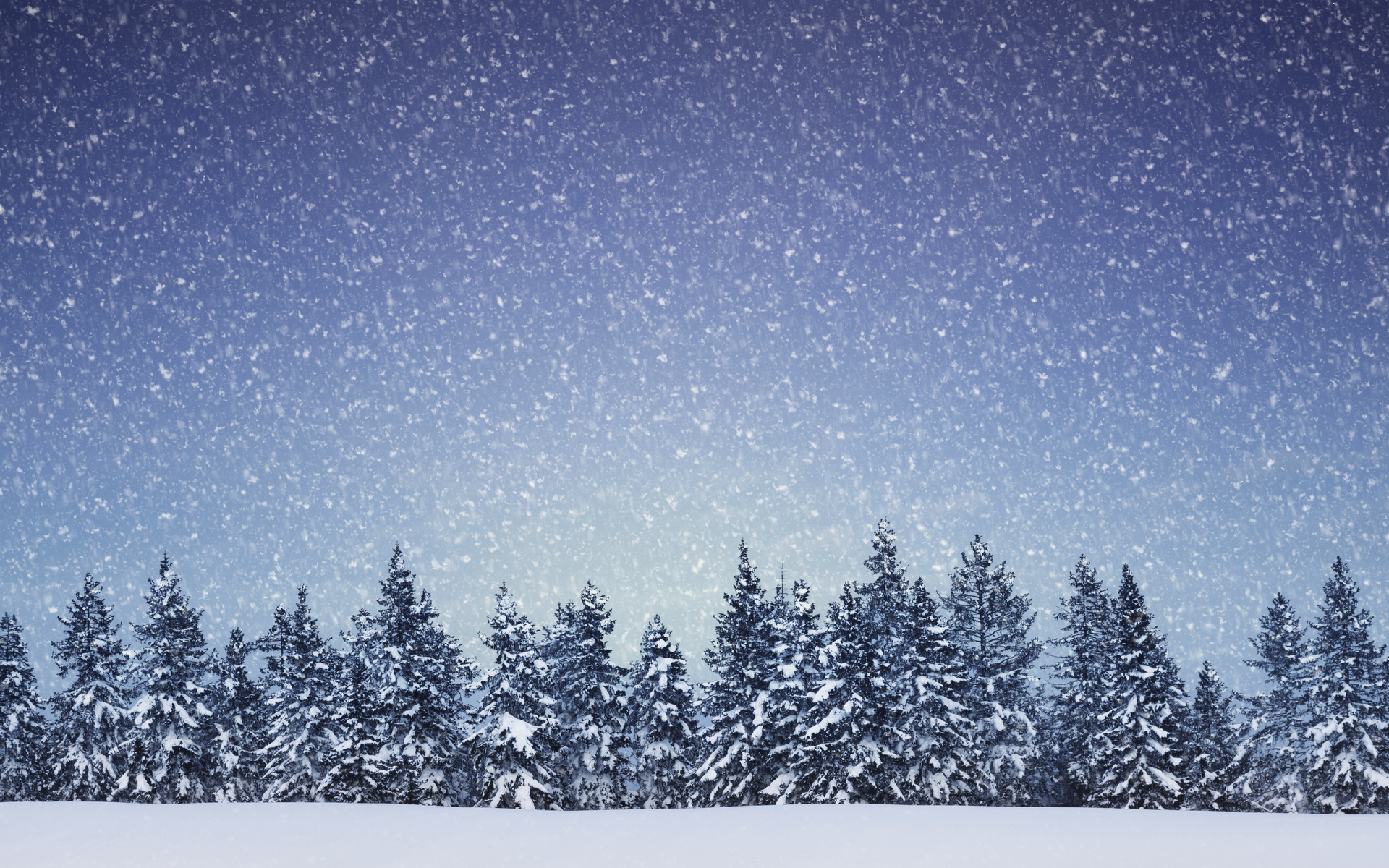 nature, Landscapes, Trees, Forest, Winter, Snow, Snowing, Flakes Wallpaper