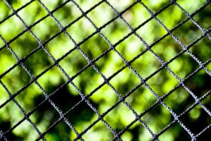 close up, Nature, Fences, Chain, Link, Fence, Blurred, Background
