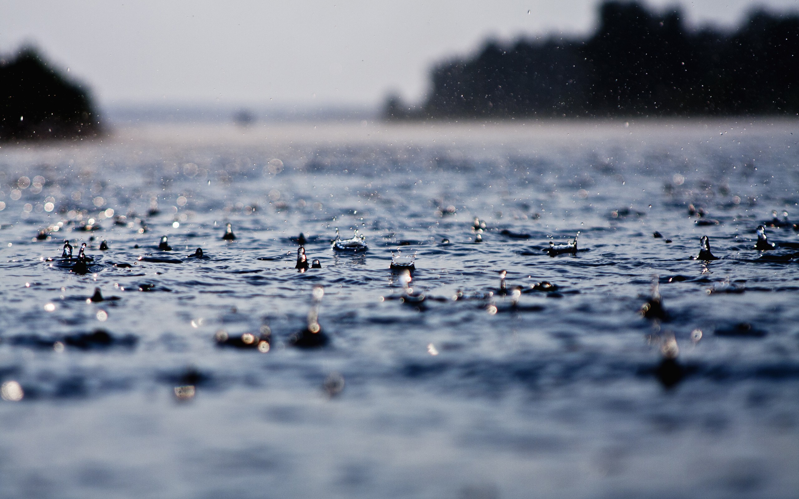 rain, Drops Wallpaper