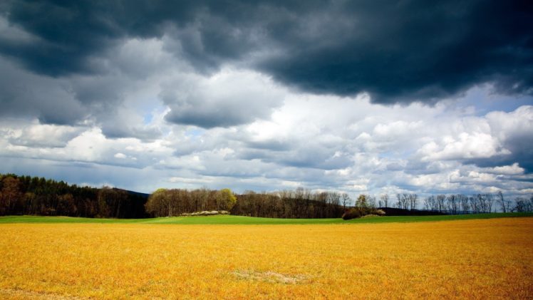 clouds, Landscapes, Nature, Forests, Fields, Skyscapes, Land HD Wallpaper Desktop Background