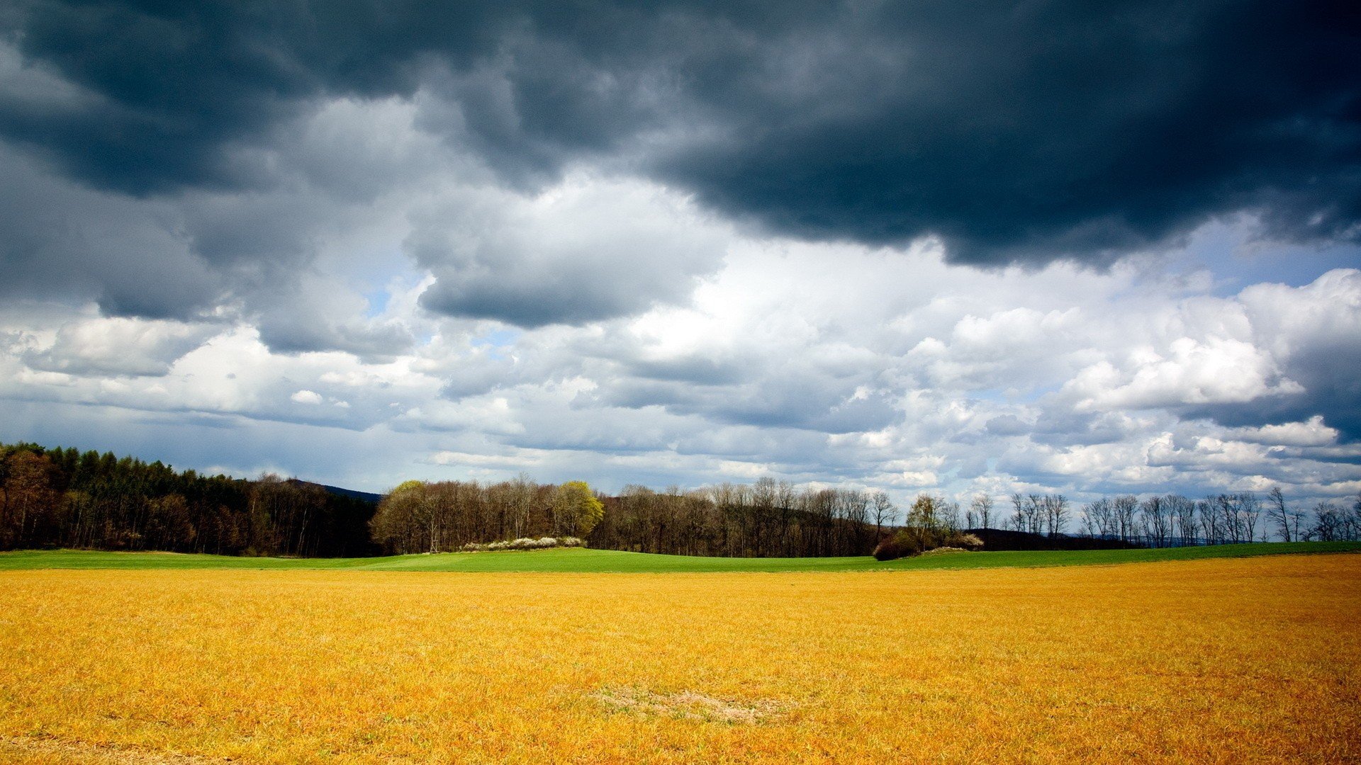 clouds, Landscapes, Nature, Forests, Fields, Skyscapes, Land Wallpaper
