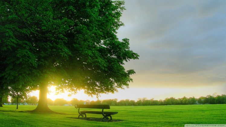 sunrise, Landscapes, Nature, Trees, Forests, Grass, Summer, Bench, Virtual HD Wallpaper Desktop Background