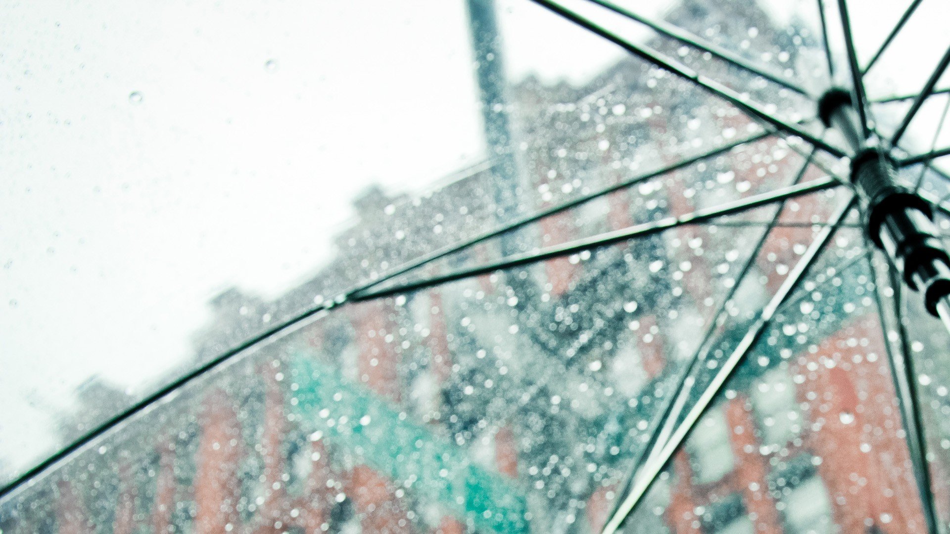 rain, Umbrellas Wallpaper