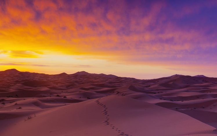 sand, Dunes, Sahara, Desert, View HD Wallpaper Desktop Background