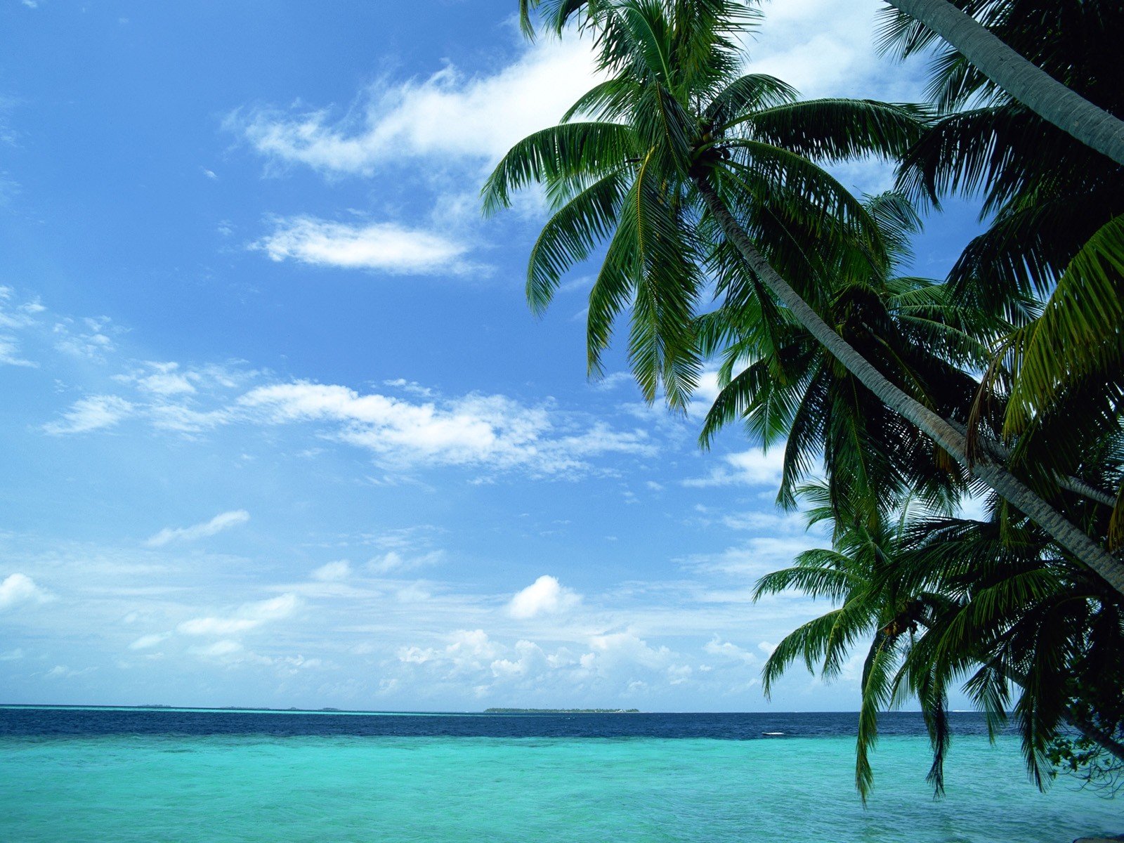 beaches Wallpaper