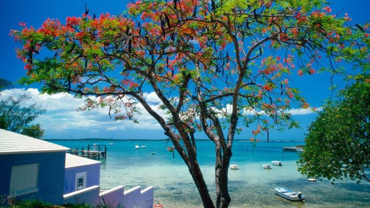 tropical, Escape, Bahamas HD Wallpaper Desktop Background