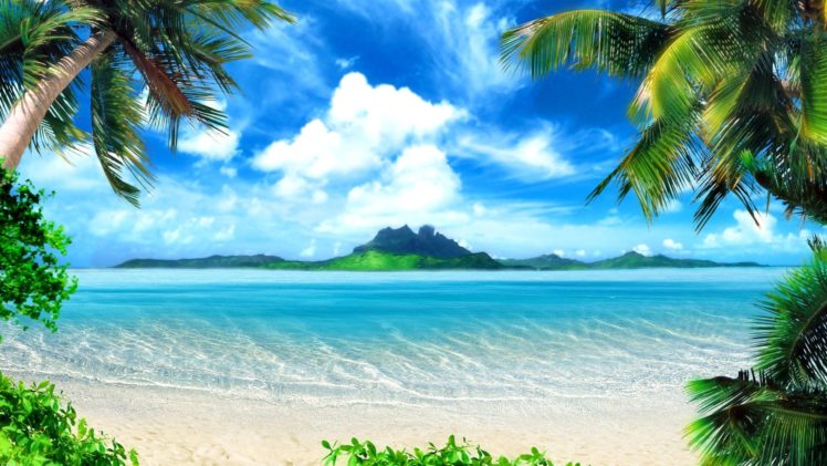 landscapes, Nature, Trees, Tropical, Palm, Trees, Seascape, Sea, Beaches HD Wallpaper Desktop Background